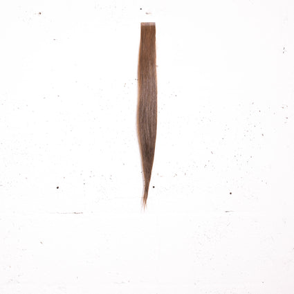 Chestnut